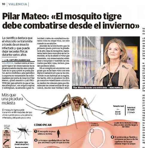 Imagen b Pilar Mateo El mosquito Las Provincias Agosto 2015