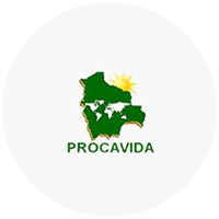 procavida